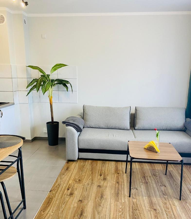 Apartamenty Teatralne Gorzów Wielkopolski Εξωτερικό φωτογραφία